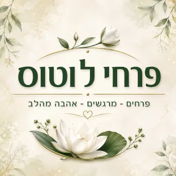 לוטוס קריית חיים