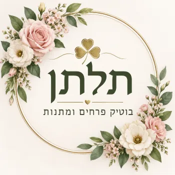 תלתן צפת